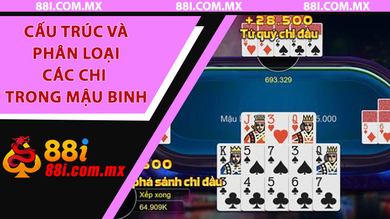 Cấu trúc và phân loại các chi trong Mậu Binh