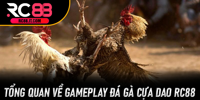 Tổng quan về gameplay Đá Gà Cựa Dao RC88