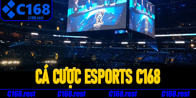 Kinh nghiệm chơi Cá Cược Esports C168 hiệu quả hơn