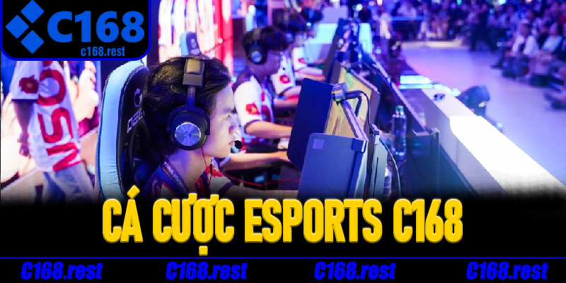Những điểm nổi bật giúp Cá Cược Esports C168 thu hút người chơi