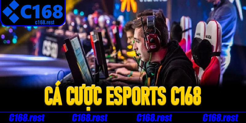 Các loại kèo hấp dẫn tại Cá Cược Esports C168