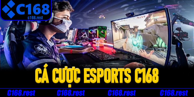 Cá Cược Esports C168